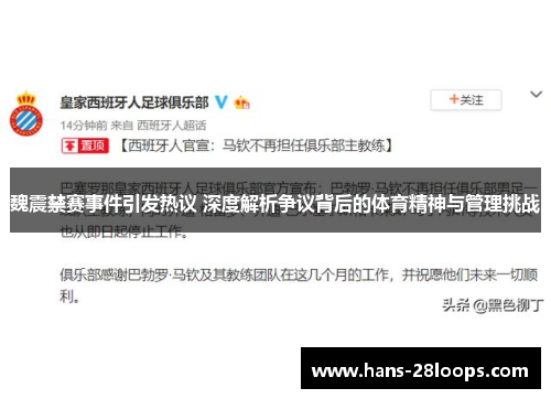 魏震禁赛事件引发热议 深度解析争议背后的体育精神与管理挑战