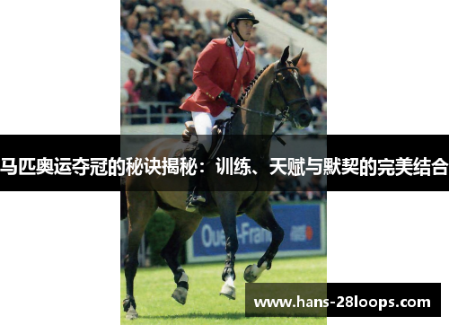 马匹奥运夺冠的秘诀揭秘:训练、天赋与默契的完美结合 马匹奥运夺冠的秘诀揭秘:训练、天赋与默契的完美结合