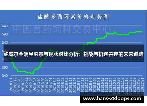 鲍威尔全明星愿景与现状对比分析：挑战与机遇并存的未来道路
